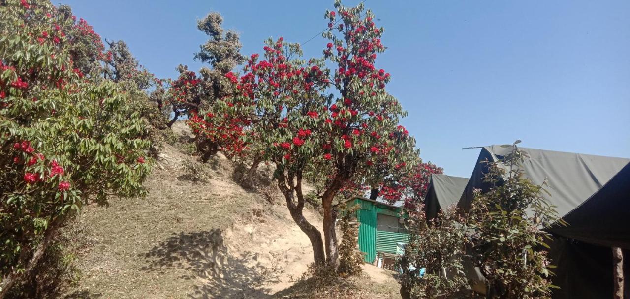 Chandarshila Hike Homestay Ukhimath Екстериор снимка